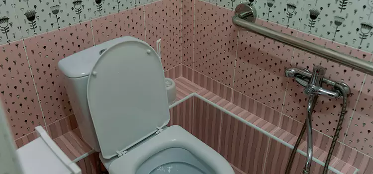 Meeting Diverse Needs With Accessible Restroom Solutions in Pasadena, MD